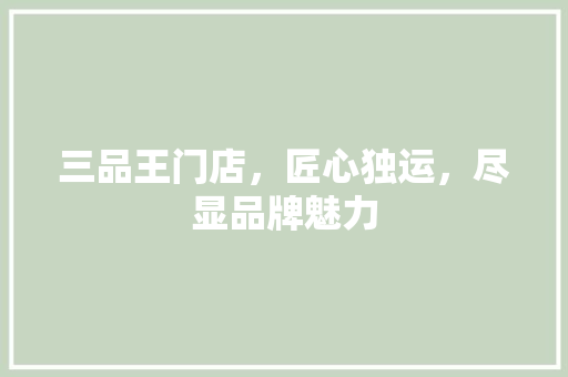 三品王门店，匠心独运，尽显品牌魅力