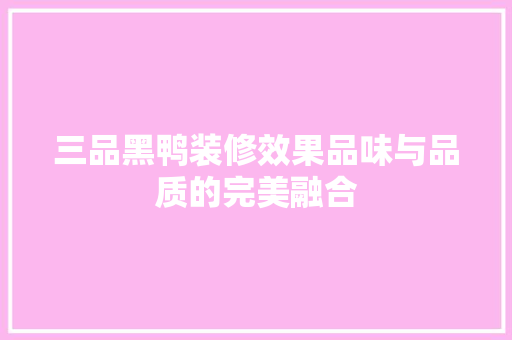 三品黑鸭装修效果品味与品质的完美融合