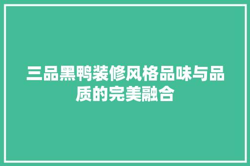 三品黑鸭装修风格品味与品质的完美融合