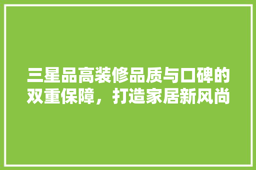三星品高装修品质与口碑的双重保障，打造家居新风尚