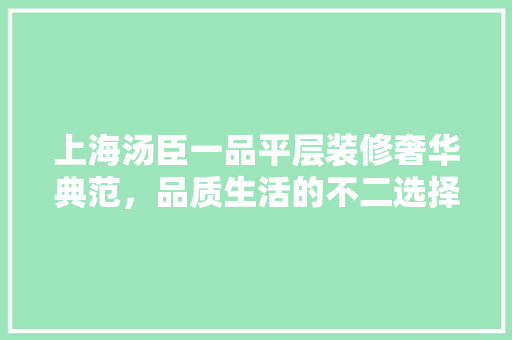 上海汤臣一品平层装修奢华典范，品质生活的不二选择