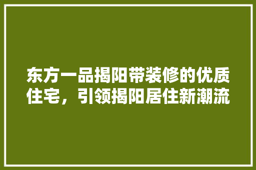 东方一品揭阳带装修的优质住宅，引领揭阳居住新潮流