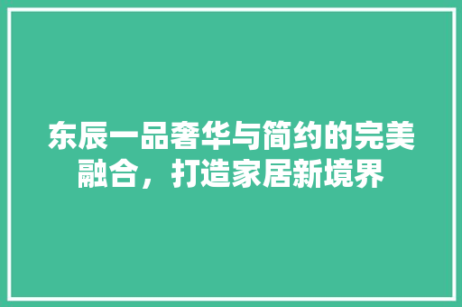 东辰一品奢华与简约的完美融合，打造家居新境界