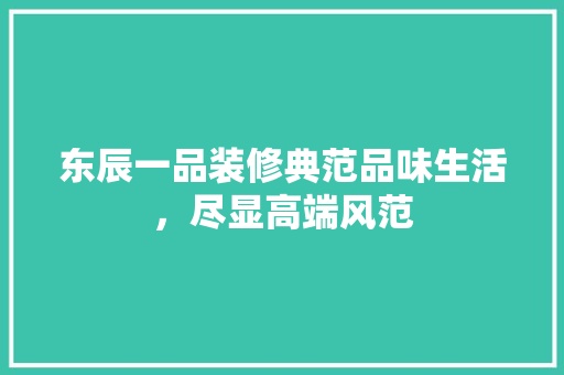 东辰一品装修典范品味生活，尽显高端风范
