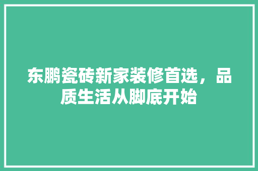 东鹏瓷砖新家装修首选，品质生活从脚底开始