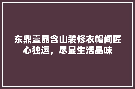 东鼎壹品含山装修衣帽间匠心独运，尽显生活品味