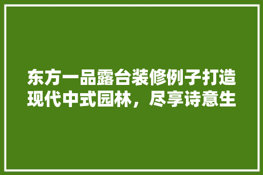 东方一品露台装修例子打造现代中式园林，尽享诗意生活