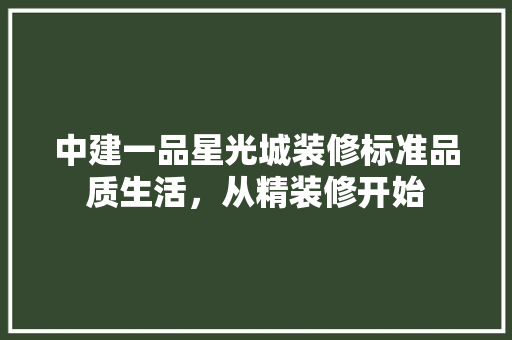 中建一品星光城装修标准品质生活，从精装修开始