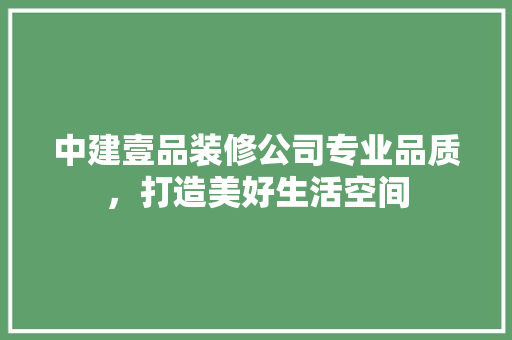 中建壹品装修公司专业品质，打造美好生活空间