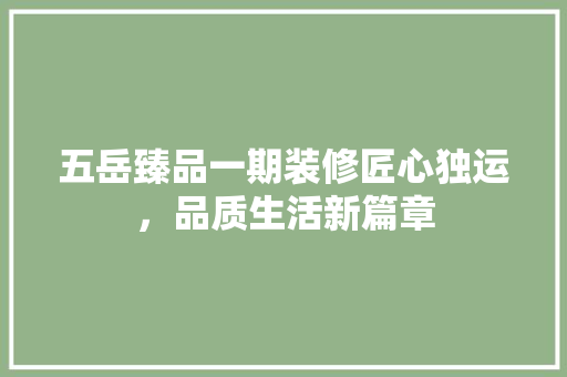 五岳臻品一期装修匠心独运，品质生活新篇章