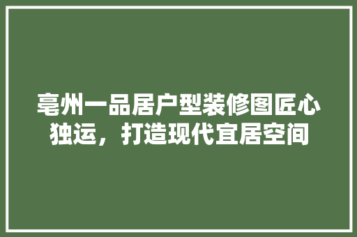 亳州一品居户型装修图匠心独运，打造现代宜居空间